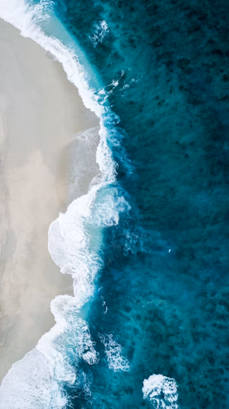 nature2