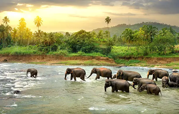 nature5