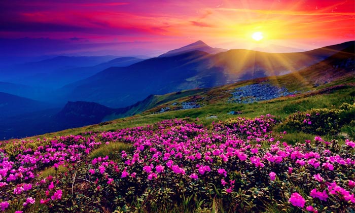 nature3